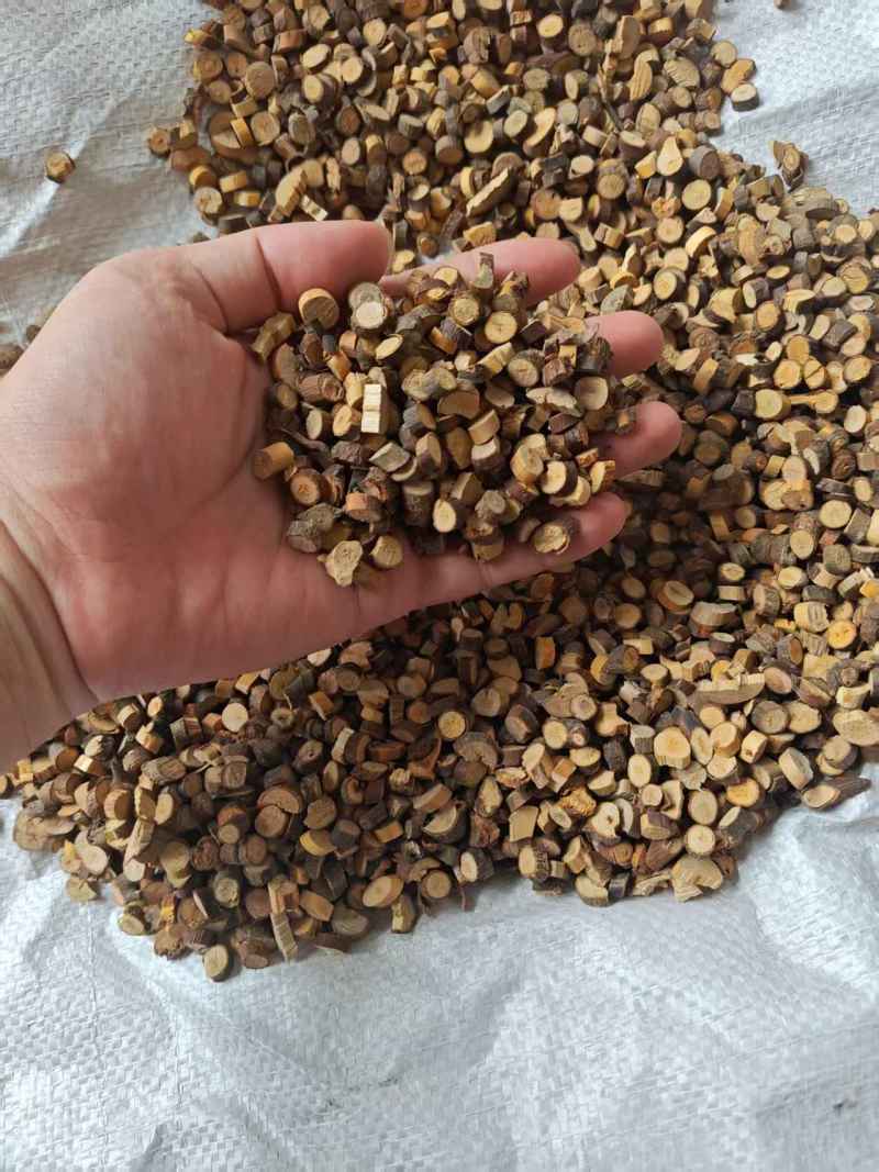 桂枝基地直销量大质优保质保量欢迎各大老板采购咨询
