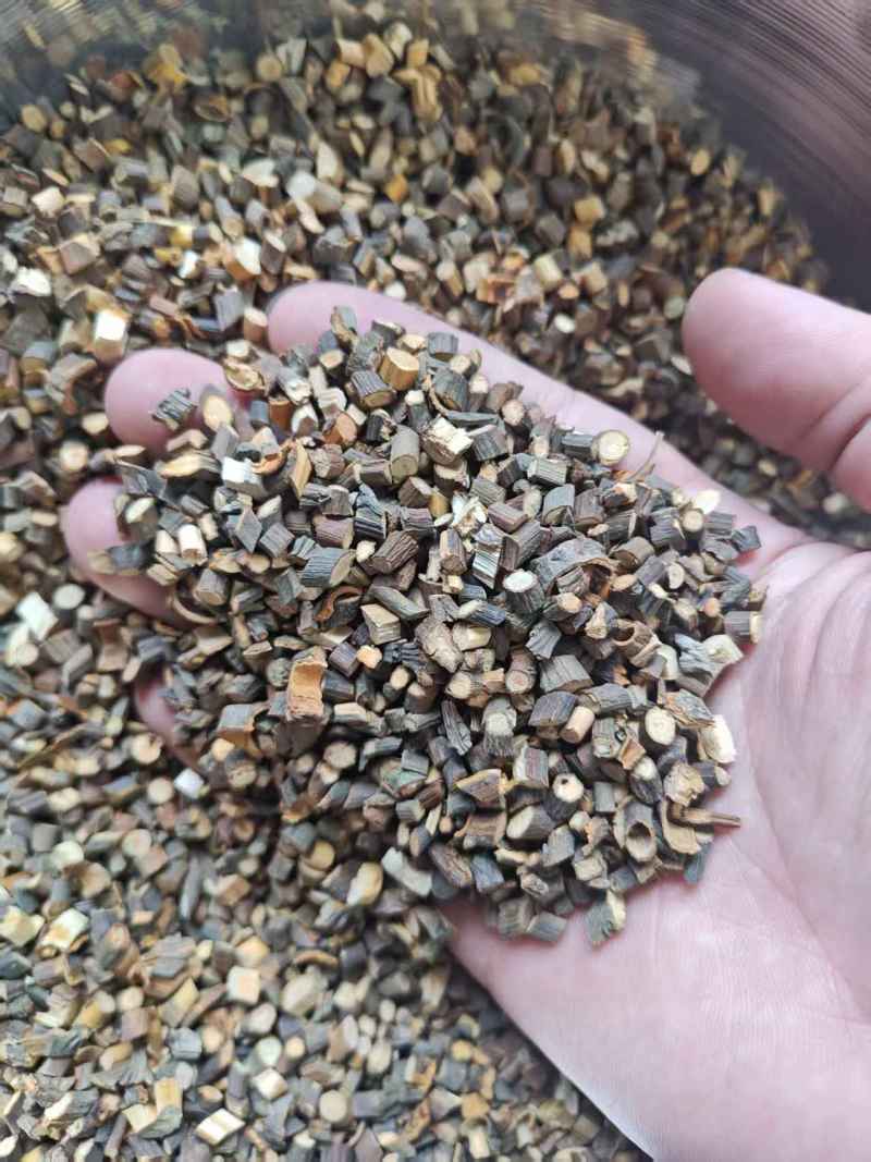 桂枝产地直销量大质优规格齐全支持视频看货欢迎采购