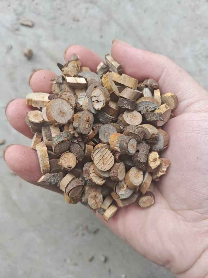 桂枝产地直销量大质优规格齐全支持视频看货欢迎采购