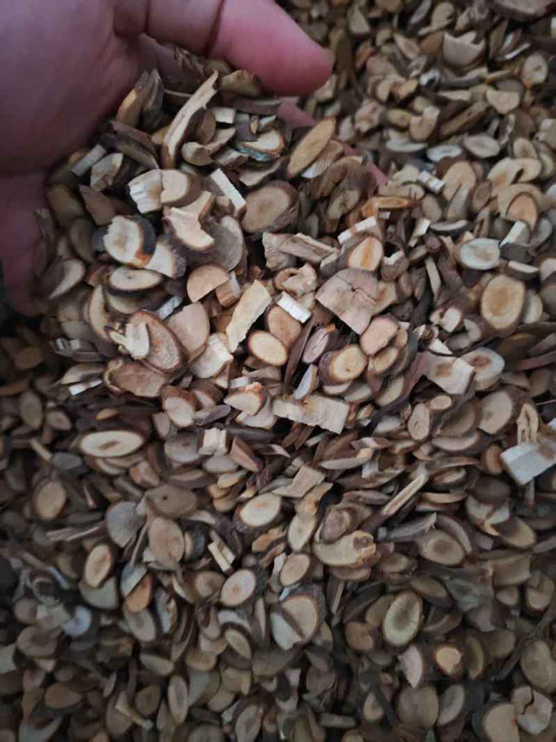 桂枝产地直销量大质优规格齐全支持视频看货欢迎采购