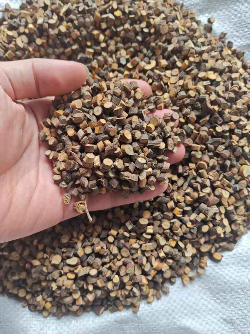 桂枝产地直销保质保量价格优惠一手货源欢迎咨询采购