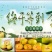 贵州镇宁蜂糖李