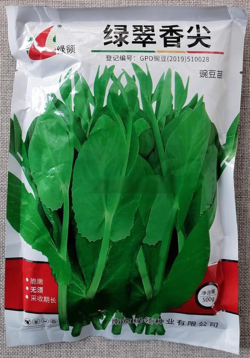 绿领绿翠香尖豌豆苗种子苗芽蔬菜种籽长势旺盛脆嫩清香无须