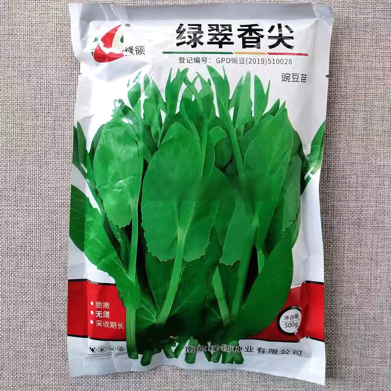 绿领绿翠香尖豌豆苗种子苗芽蔬菜种籽长势旺盛脆嫩清香无须