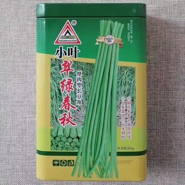 小叶翠绿春天厚肉长豆角种子豆荚翠绿豇豆种籽顺直不鼓籽春秋