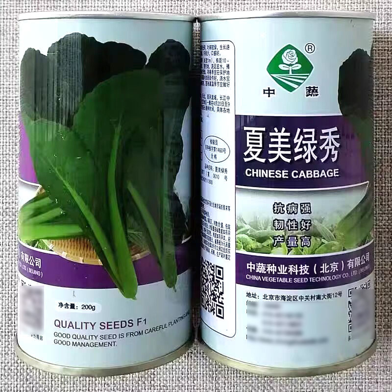 中蔬夏美绿秀苗用青梗小白菜种子叶片深翠绿色速生青菜种籽
