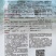 中蔬佳园菊花菜种子苦菊菜花叶苦苣种籽心叶浅绿微苦四季蔬菜