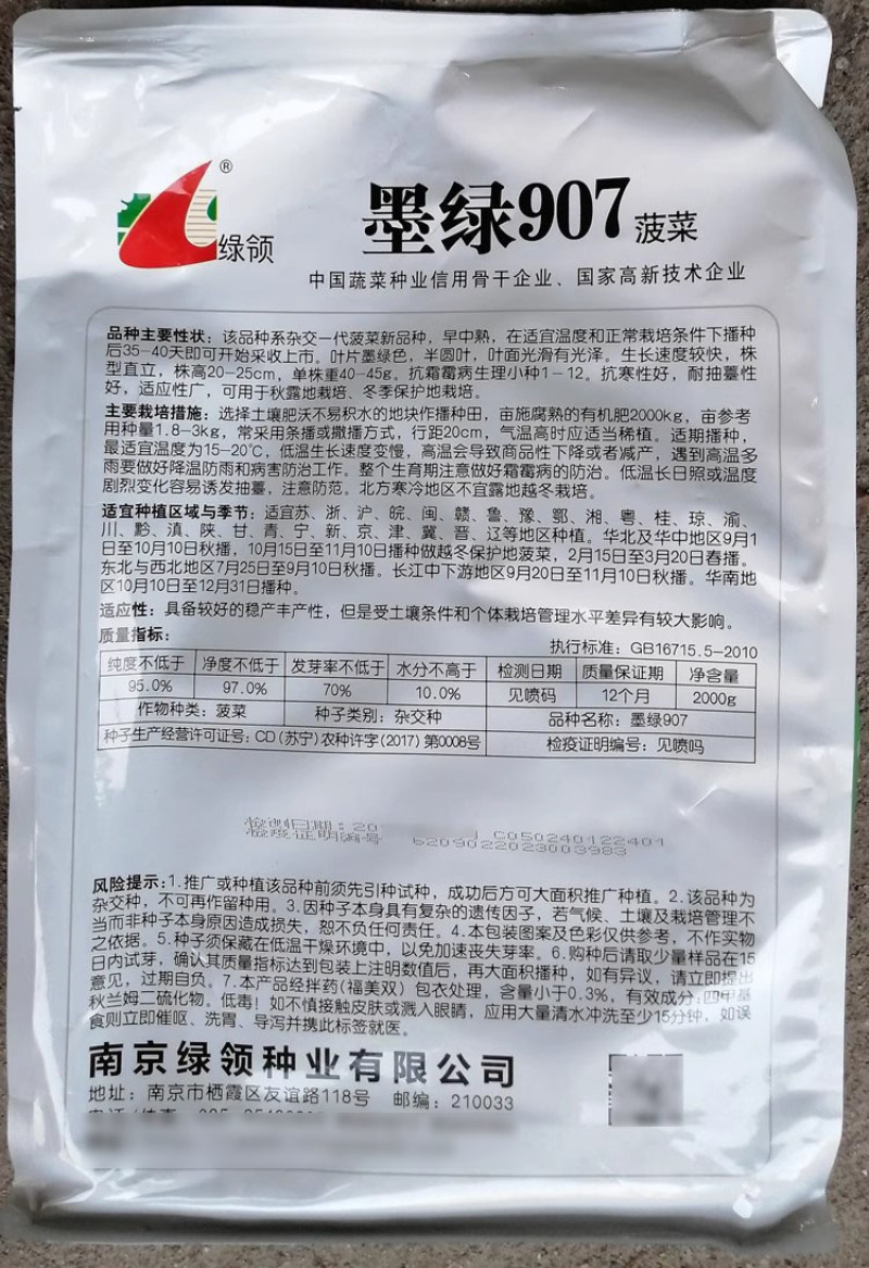 绿领墨绿907菠菜种子黑绿椭圆高产抗病秋冬菠菜种籽杂交