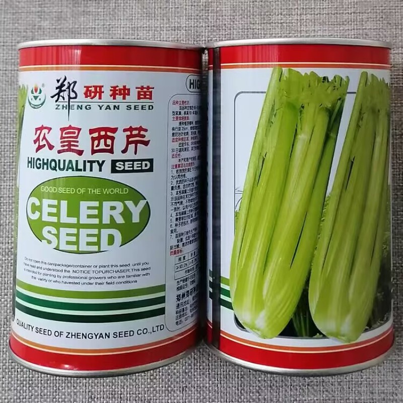 郑研农皇西芹种子色泽淡黄高产耐低温芹菜种籽纤维少大棚露地