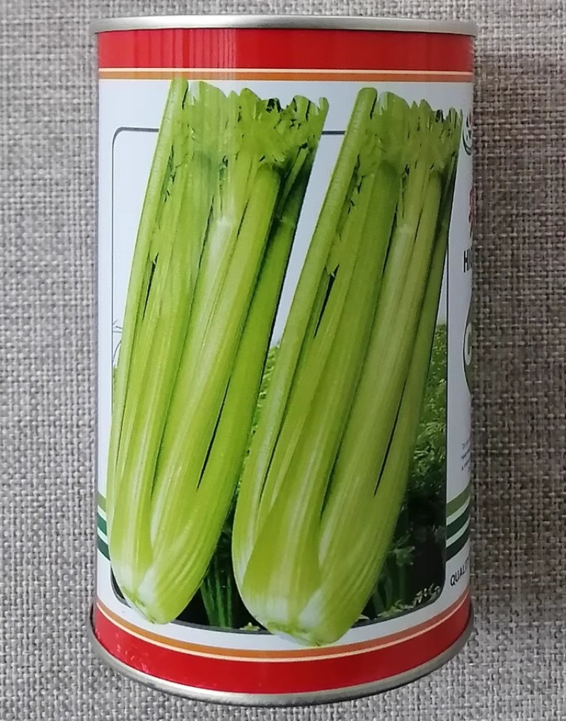 郑研农皇西芹种子色泽淡黄高产耐低温芹菜种籽纤维少大棚露地