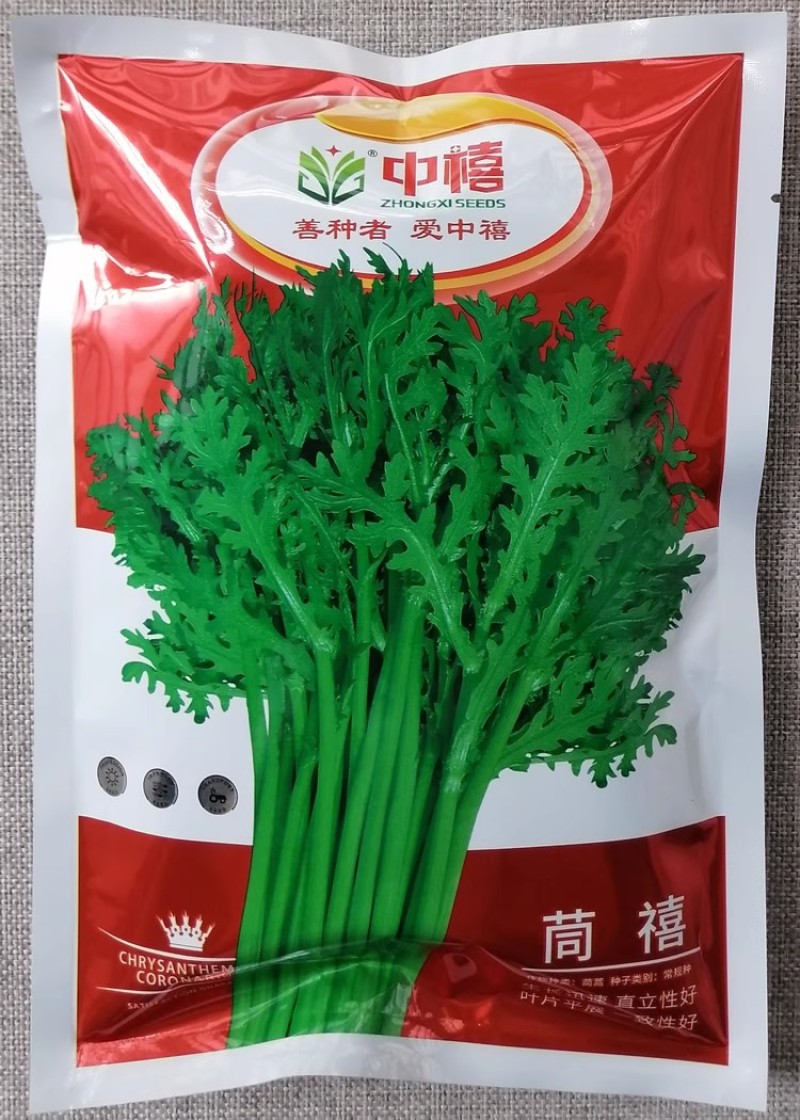 中禧茼禧光杆茼蒿种子生长快纤维少鲜嫩清香叶片肥厚光滑