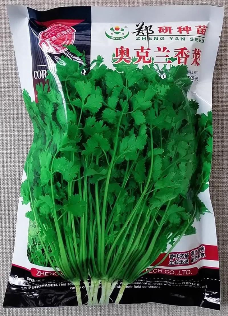 郑研奥克兰四季香菜种子籽高产抗病耐热耐寒叶片鲜绿香味浓