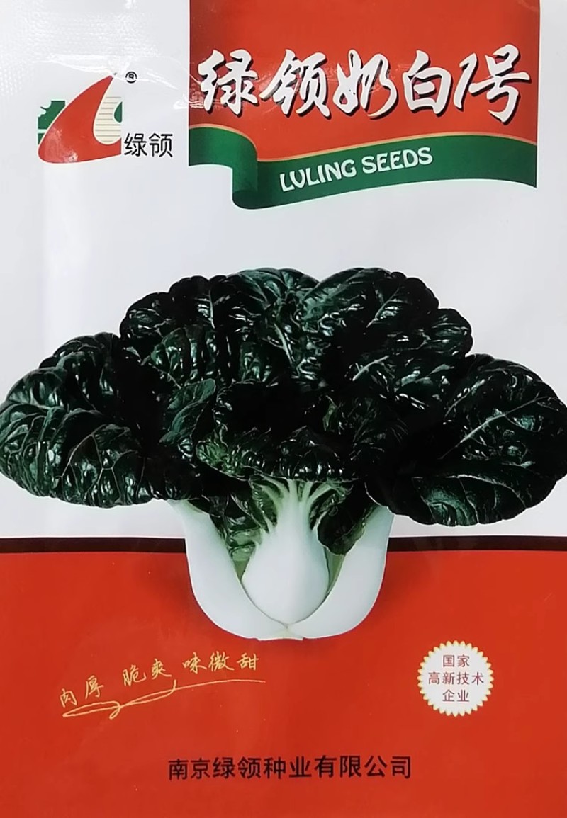 绿领奶白1号小白菜种子皱叶油亮深绿肉厚微甜白梗矮棵乌油菜