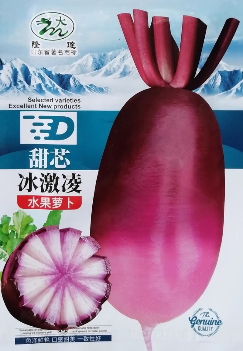 水果萝卜种子甜芯冰激凌甜脆多汁杂交紫红皮秋季甜美水果萝卜