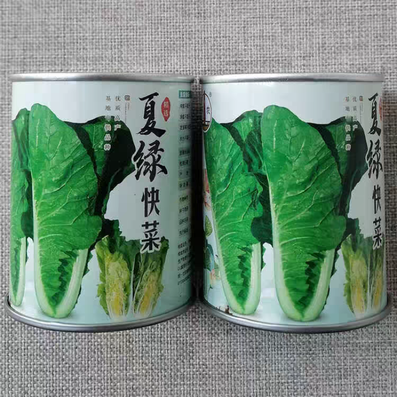 夏绿快菜种子优质高产耐热耐湿早熟杂交白帮小白菜种籽四季