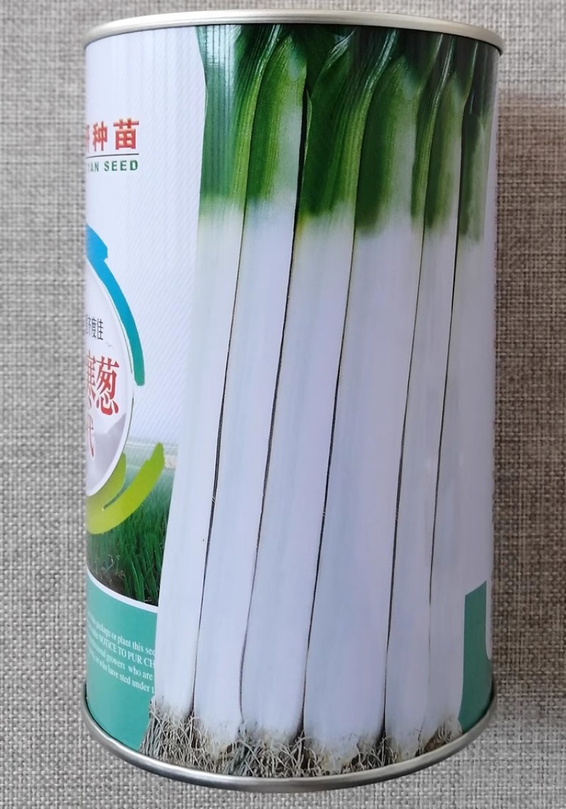 郑研寒葱新一代大葱种子郑研丰葱种籽高产耐寒葱香味浓脆嫩味