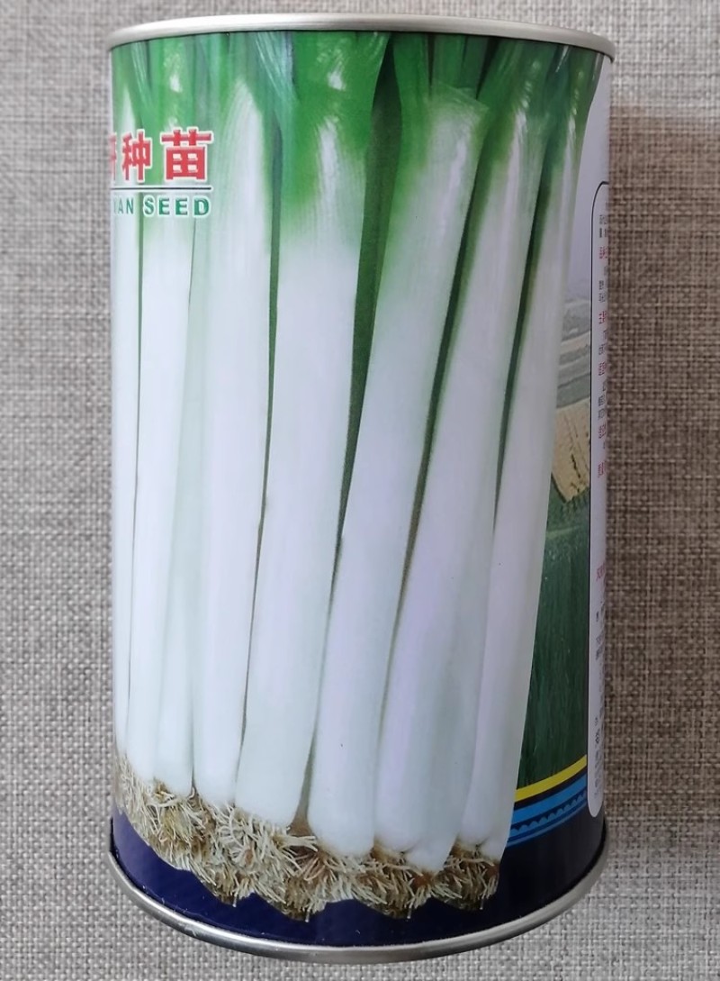 郑研寒葱新一代大葱种子郑研丰葱种籽高产耐寒葱香味浓脆嫩味