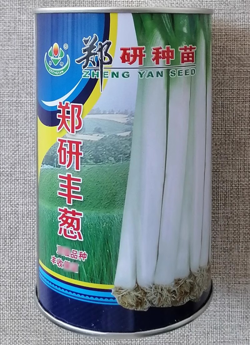 郑研寒葱新一代大葱种子郑研丰葱种籽高产耐寒葱香味浓脆嫩味