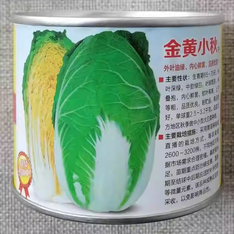 青硕金黄小秋白菜种子内心鲜黄抗病高产大白菜种孑秋黄心白菜