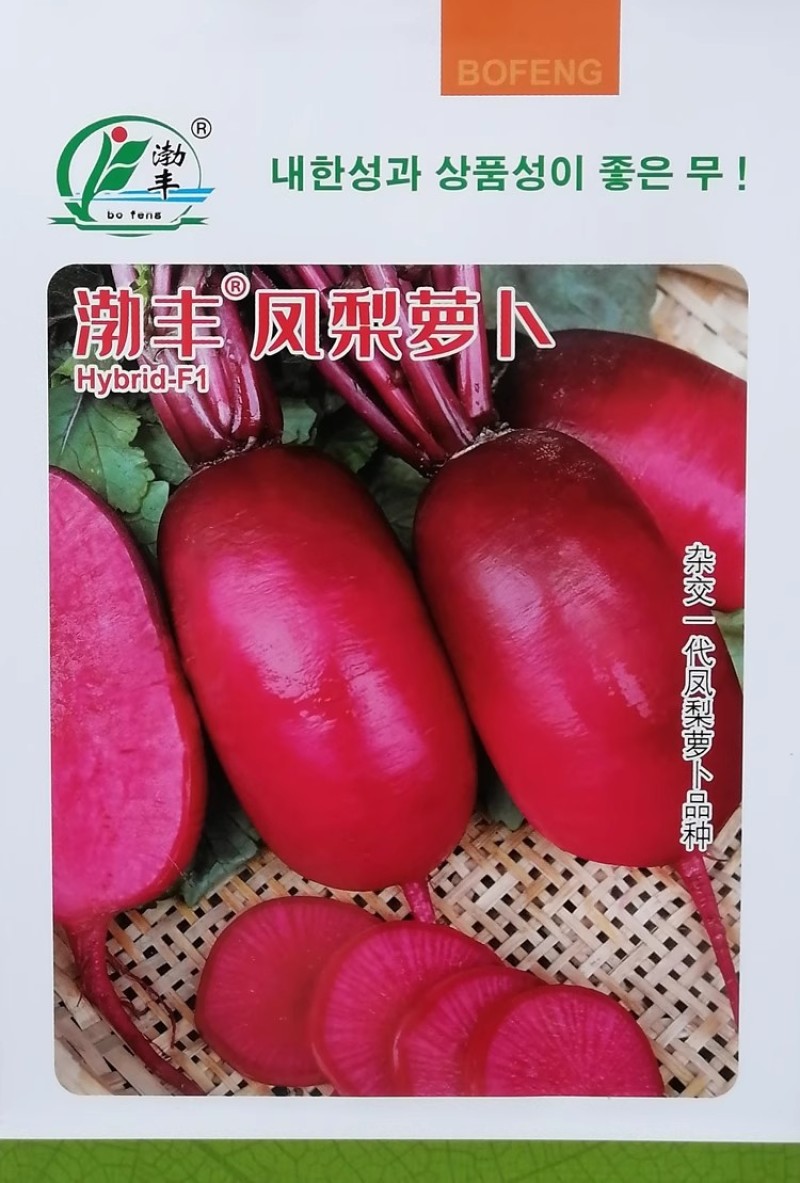渤丰凤梨萝卜种子杂交红皮红肉水果型萝卜种籽肉质细酥脆多汁