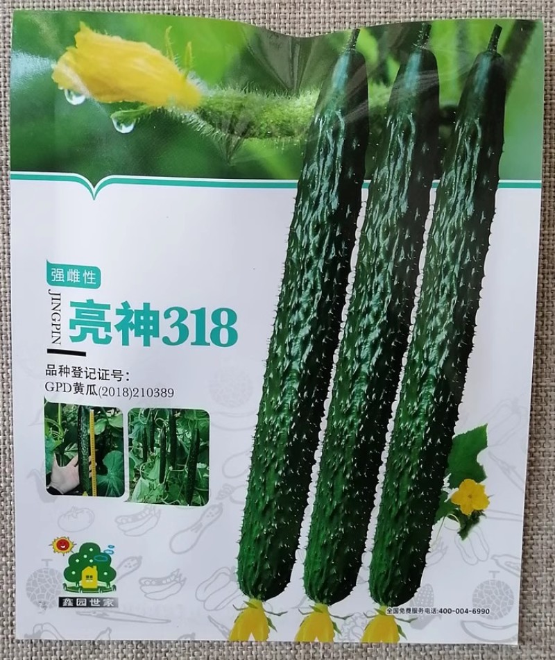 强雌油亮型黄瓜种子亮神318瓜条深绿顺直味甜脆绿肉绿瓤黄