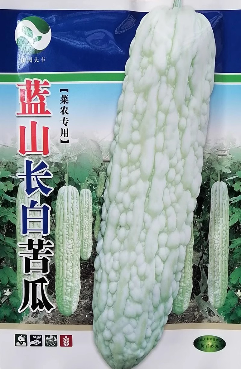蓝山长白苦瓜种子大田菜农用白苦瓜品种品质好纯度高
