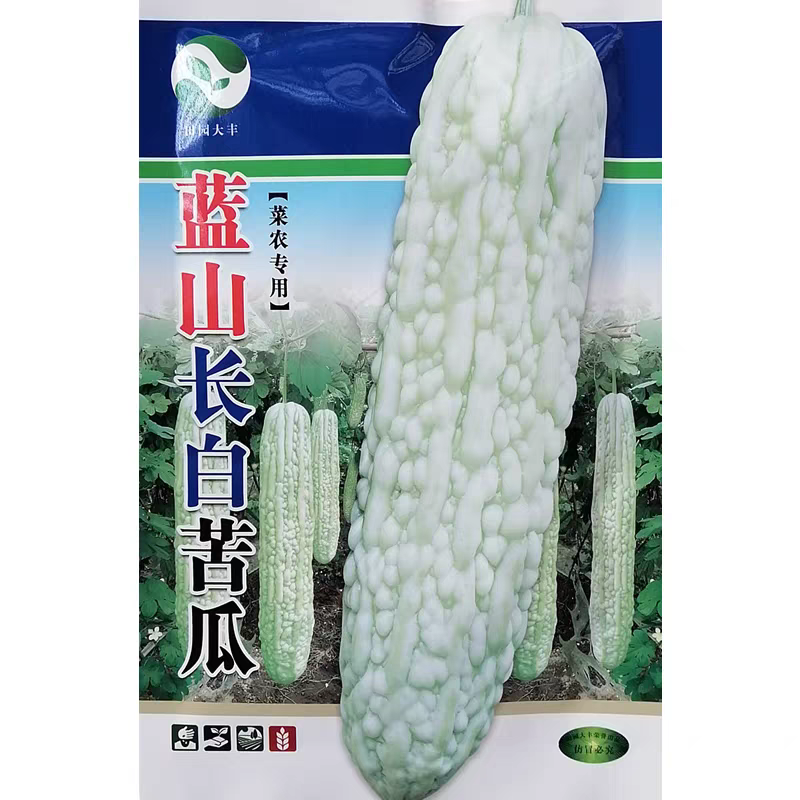 蓝山长白苦瓜种子大田菜农用白苦瓜品种品质好纯度高