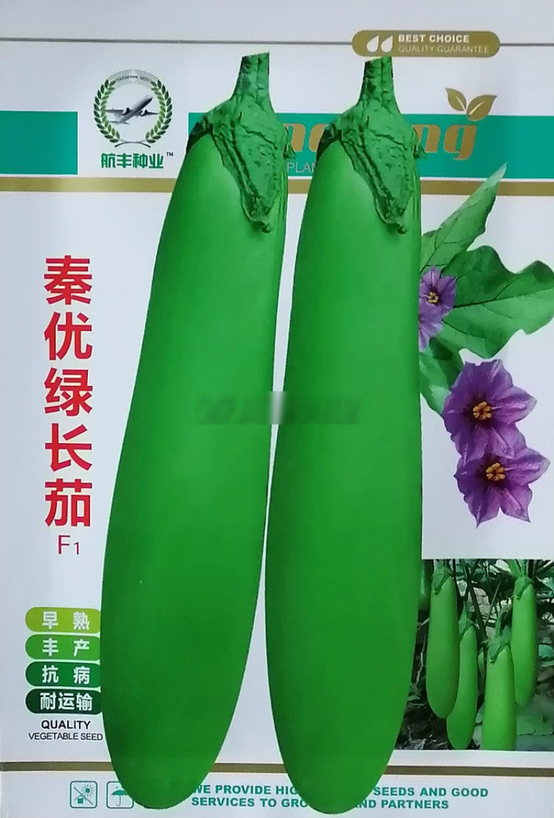 秦优绿长茄种子早熟高产抗病绿茄种籽大棚露地茄子顺直鲜绿