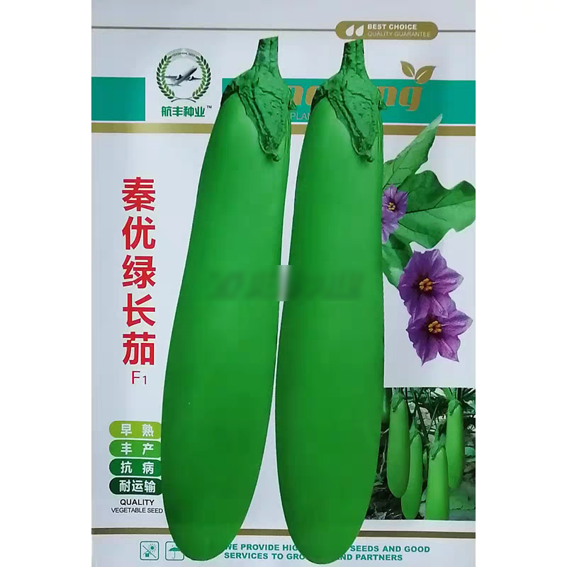 秦优绿长茄种子早熟高产抗病绿茄种籽大棚露地茄子顺直鲜绿