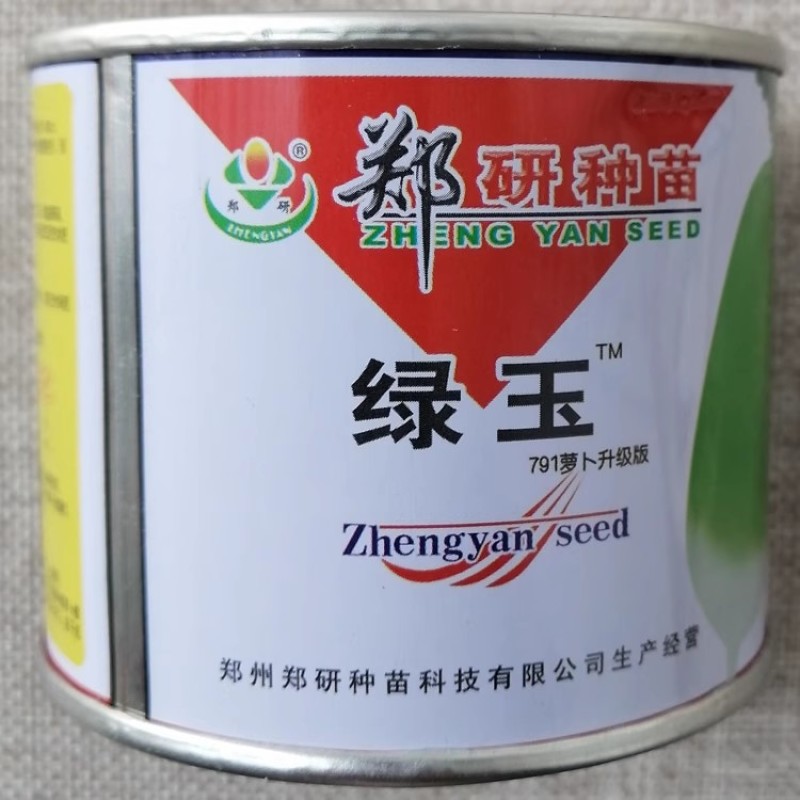 郑研绿玉萝卜种子791萝卜种籽皮色亮绿口感脆甜秋季高产