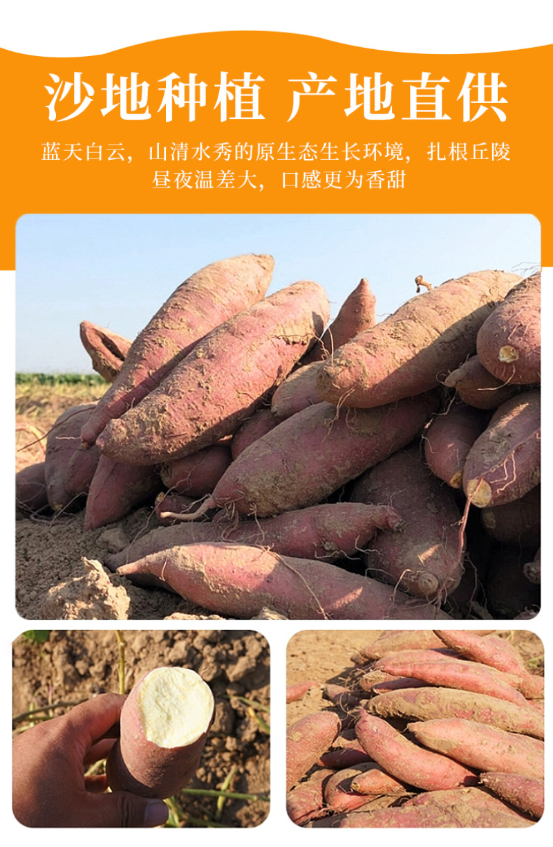 【电商一件代发】榴莲蜜薯一件代发，直播电商代发