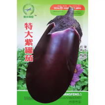 航丰特大紫罐茄种子紫黑发亮大果高产紫茄子种籽果肉多抗病强