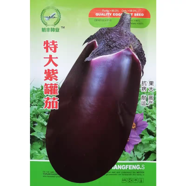航丰特大紫罐茄种子紫黑发亮大果高产紫茄子种籽果肉多抗病强