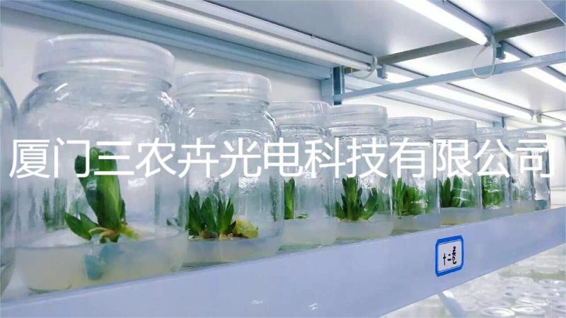 90cm-多肉育苗组培灯