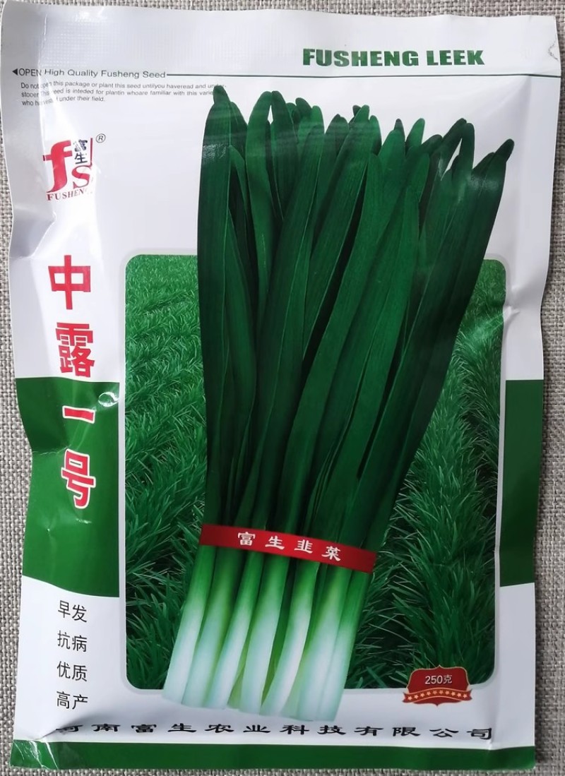 中露一号富生韭菜种子早发抗病宽叶浓绿韭菜种籽鲜嫩清香辛辣