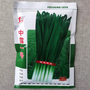 中露一号富生韭菜种子早发抗病宽叶浓绿韭菜种籽鲜嫩清香辛辣