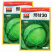 邢甘30深绿甘蓝种子卷心菜包菜进口品种夏季耐热型