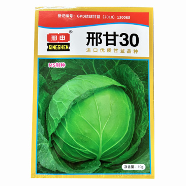 邢甘30深绿甘蓝种子卷心菜包菜进口品种夏季耐热型
