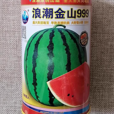 浪潮金山999西瓜种子抗病耐裂薄皮特大地雷麒麟西瓜种子