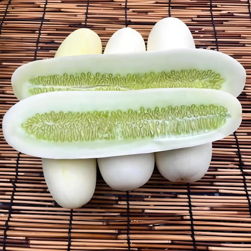 新鲜白黄瓜瓜本地应季蔬菜瓜果