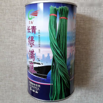 长青绿满藤豆角种子早熟实心鲜荚深绿豆荚细长大棚露地豇豆种