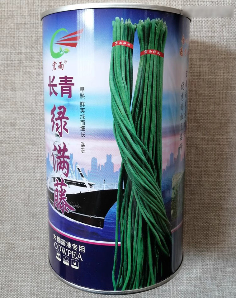 长青绿满藤豆角种子早熟实心鲜荚深绿豆荚细长大棚露地豇豆种