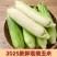 新鲜甜玉米现摘嫩包谷带壳玉米应季
