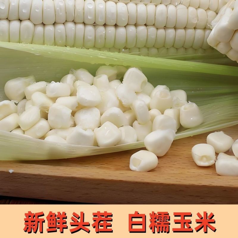 新鲜甜玉米现摘嫩包谷带壳玉米应季