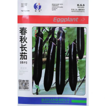 科光春秋长茄黑茄子种子高产抗病茄条黑紫光亮耐运输早中熟