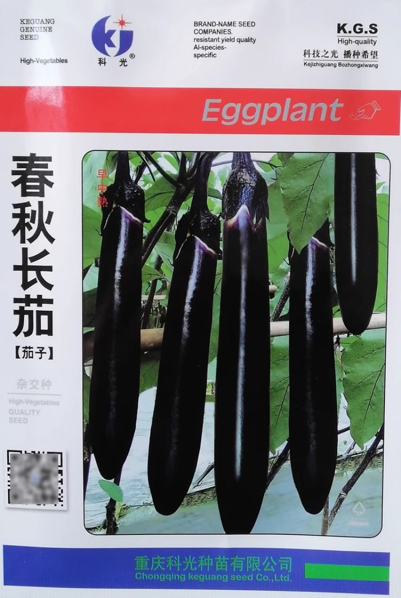 科光春秋长茄黑茄子种子高产抗病茄条黑紫光亮耐运输早中熟