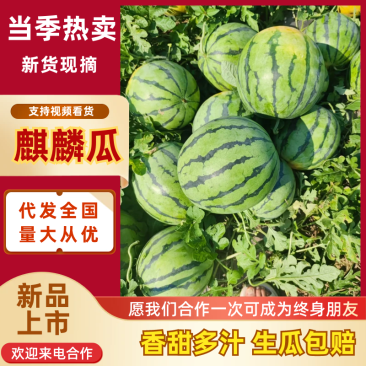 露天头茬麒麟瓜质量三包品质精品源头直采园货全国代发