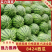【8424西瓜】头茬园货源头直采保质保量质量三包