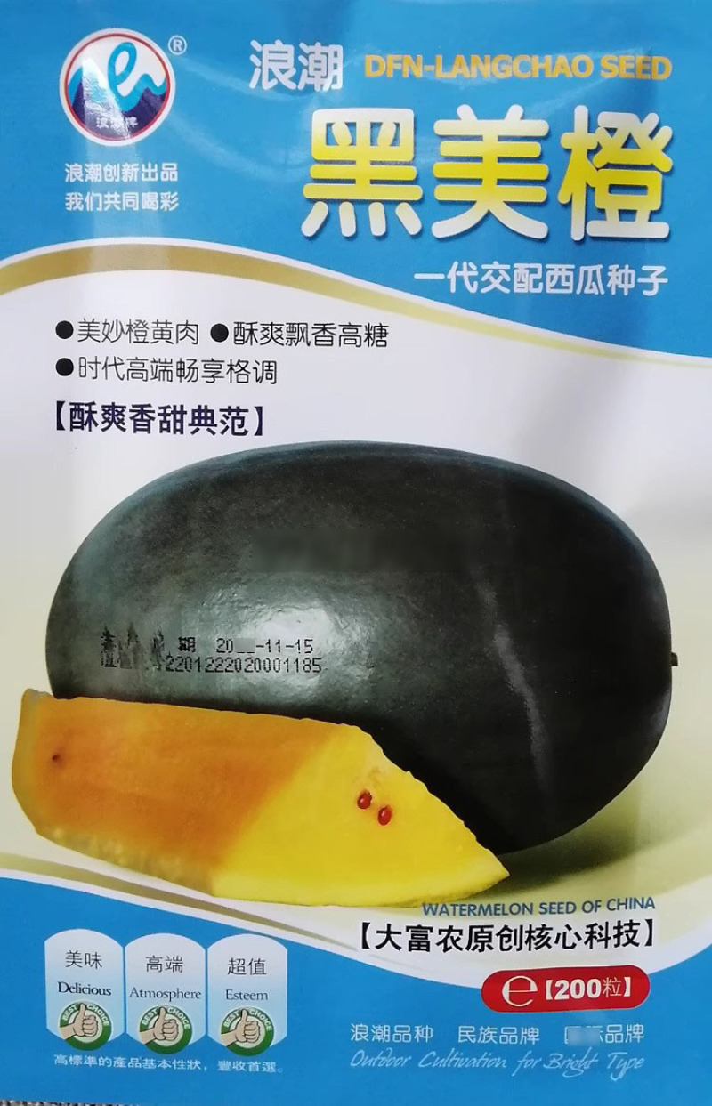 浪潮牌黑美橙西瓜种子一代杂交高产黄瓤西瓜种籽肉质橙黄甜蜜