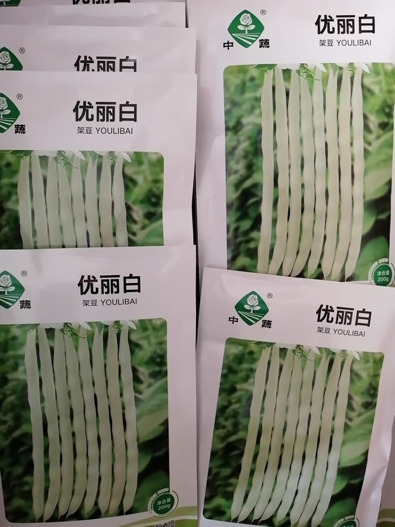 中蔬优丽白架豆种子四季豆芸豆九粒白种籽嫩荚扁圆脆嫩豆角